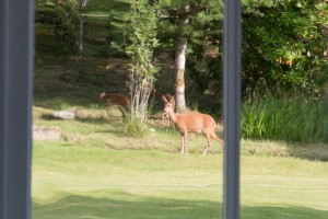 Inverary-77-20150817