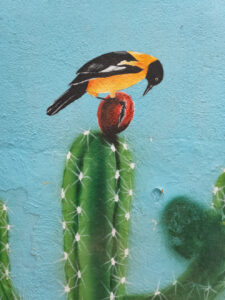 Cunard, Curacao, Queen Anne, South America, Street Art