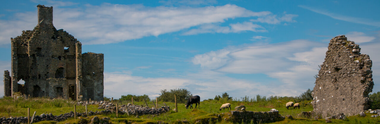 Ireland 2017